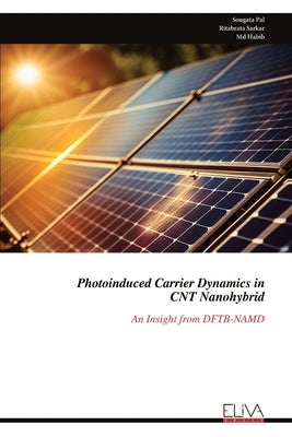 Photoinduced Carrier Dynamics in CNT Nanohybrid: An Insight from DFTB-NAMD by Pal, Sougata