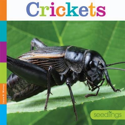 Crickets by Murray, Laura K.