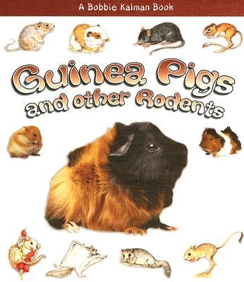 Guinea Pigs and Other Rodents by Kalman, Bobbie