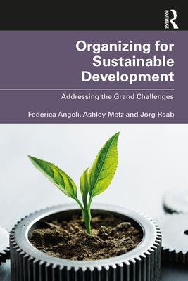 Organizing for Sustainable Development: Addressing the Grand Challenges by Angeli, Federica