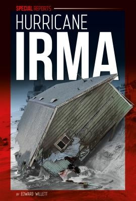 Hurricane Irma by Willett, Edward