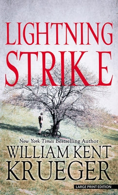 Lightning Strike by Krueger, William Kent