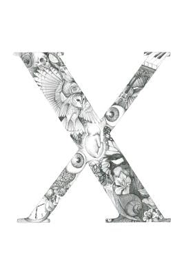 X by Zaiden, Rotem Lots