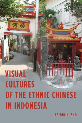 Visual Cultures of the Ethnic Chinese in Indonesia by Kusno, Abidin