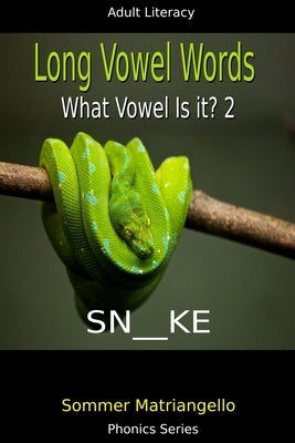 Long Vowel Words: What Vowel Is It? 2 by Matriangello, Sommer