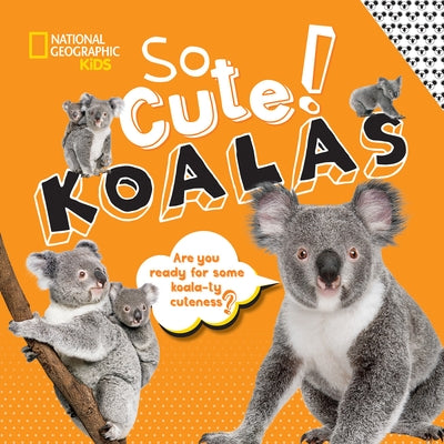 So Cute!: Koalas by Boyer, Crispin