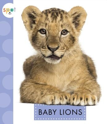 Baby Lions by Kelley, K. C.