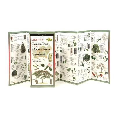 Sibley's Trees of Cities & Towns of the Southeast by Sibley, David