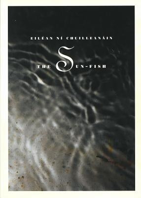 The Sun-Fish by Ní Chuilleanáin, Eiléan