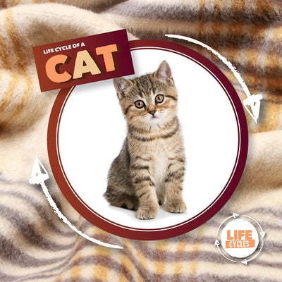 Life Cycle of a Cat by Holmes, Kirsty