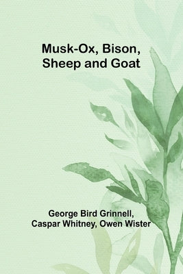 Musk-Ox, Bison, Sheep and Goat by Bird Grinnell, George