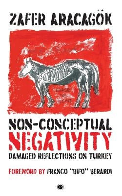 Non-Conceptual Negativity: Damaged Reflections on Turkey by Aracagök, Zafer