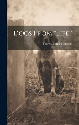 Dogs From "life," by Masson, Thomas Lansing