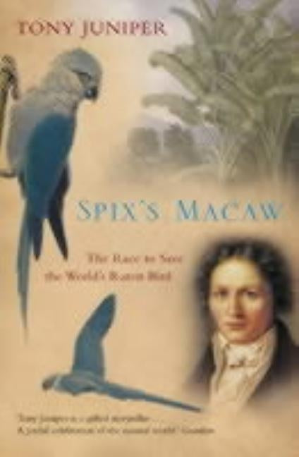 Spix's Macaw by Juniper, Tony