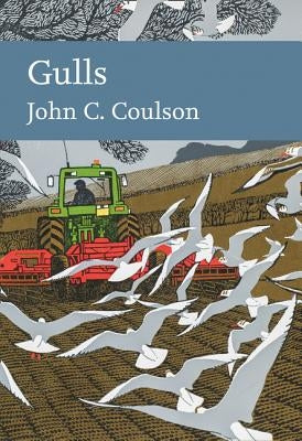 Gulls by Coulson, Professor John C.