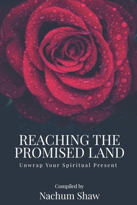 Reaching the Promised Land: Unwrap Your Spiritual Present by Shaw, Nigel