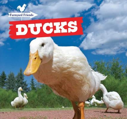 Ducks by Gibbs, Maddie