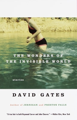 The Wonders of the Invisible World by Gates, David