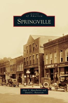 Springville by Manchester, Alan V.