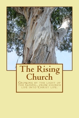 The Rising Church: Growing by the light of the Gospel, from church life into Christ life. by Doherty, Phelim