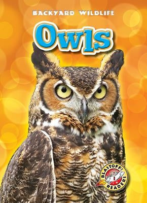 Owls by Schuetz, Kari