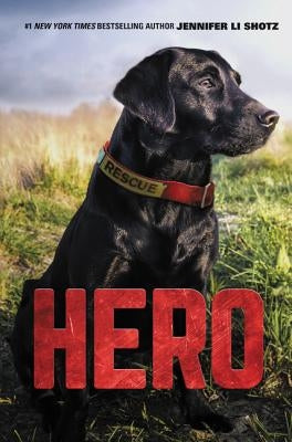 Hero by Shotz, Jennifer Li