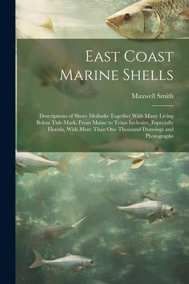 East Coast Marine Shells: Descriptions of Shore Mollusks Together With Many Living Below Tide Mark, From Maine to Texas Inclusive, Especially Fl by Smith, Maxwell 1888-1961