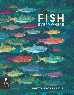 Fish Everywhere by Teckentrup, Britta