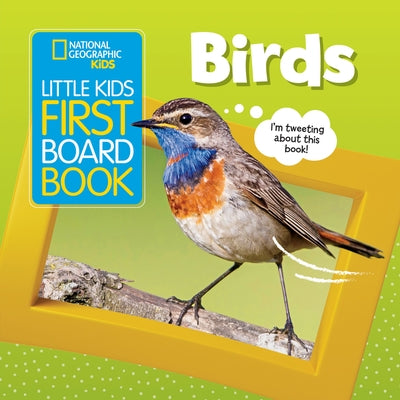 Little Kids First Board Book: Birds by Musgrave, Ruth
