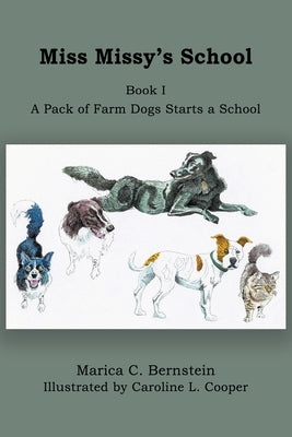 Miss Missy's School: Book I: A Pack of Farm Dogs Starts a School by Bernstein, Marica C.
