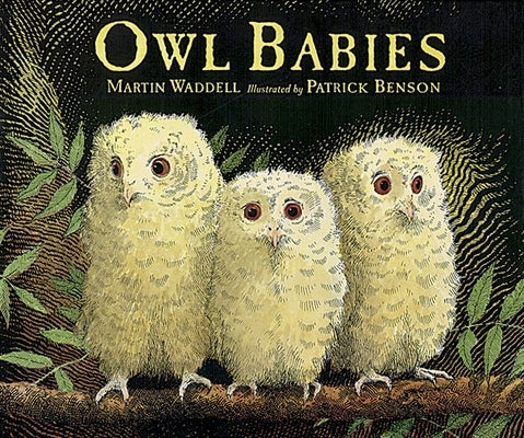 Owl Babies by Waddell, Martin