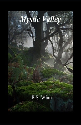 Mystic Valley by Winn, P. S.
