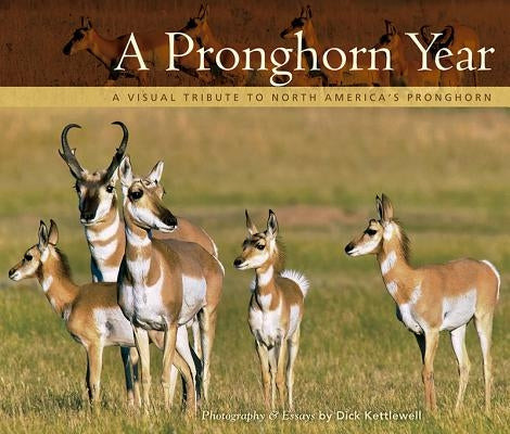 A Pronghorn Year: A Visual Tribute to North America's Pronghorn by Kettlewell, Dick