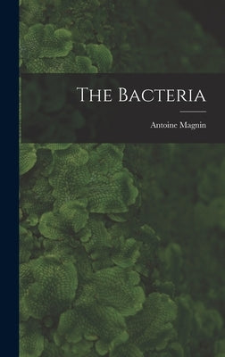 The Bacteria by Magnin, Antoine