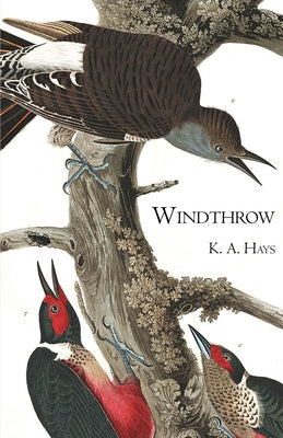Windthrow by Hays, K. A.