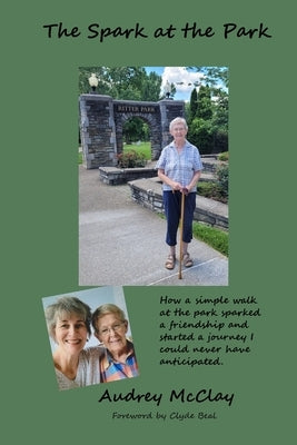 The Spark at the Park by McClay, Audrey