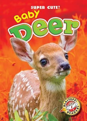 Baby Deer by Olson, Bethany