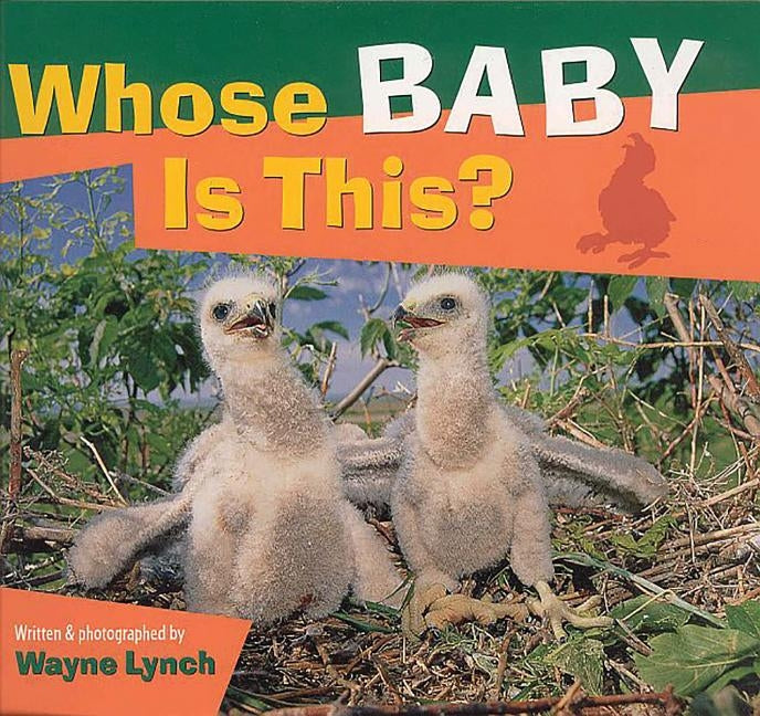 Whose Baby Is This? by Lynch, Wayne
