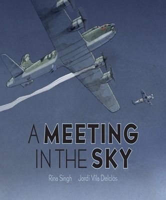 A Meeting in the Sky by Singh, Rina