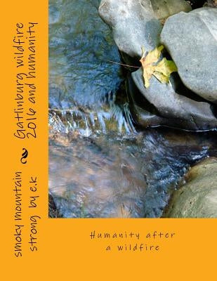 Gatlinburg wildfire 2016 and humanity: Humanity after a wildfire by K, E.