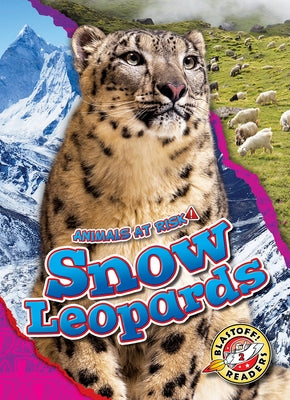 Snow Leopards by Grack, Rachel