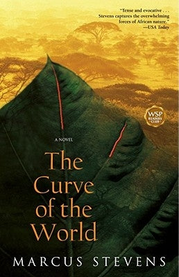 The Curve of the World by Stevens, Marcus