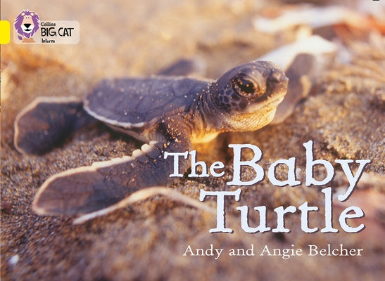 The Baby Turtle: Band 03/Yellow by Belcher, Andy