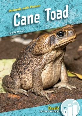Cane Toad by Murray, Julie