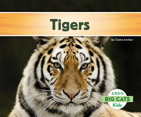 Tigers by Archer, Claire