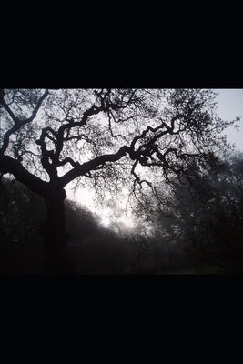 Darkness's Child by J, Alex