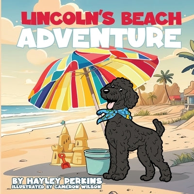 Lincoln's Beach Adventure by Perkins, Hayley