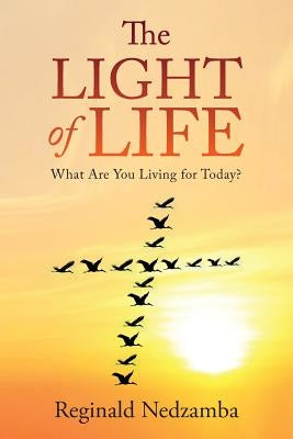 The Light of Life: What Are You Living for Today? by Nedzamba, Reginald