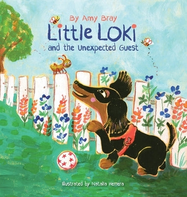 Little Loki and the Unexpected Guest by Bray, Amy