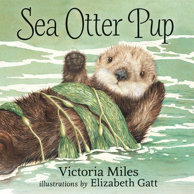 Sea Otter Pup by Miles, Victoria